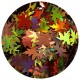 Glittermix autumn leaf