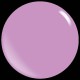 Structure Base Candy Purple/Ενισχυμένη Βάση Candy Purple